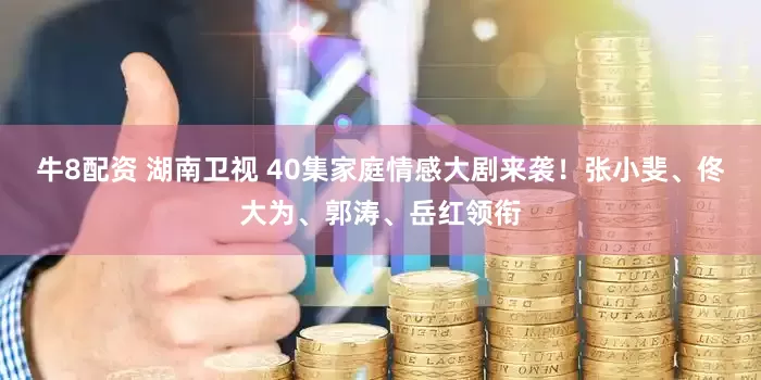 牛8配资 湖南卫视 40集家庭情感大剧来袭！张小斐、佟大为、郭涛、岳红领衔