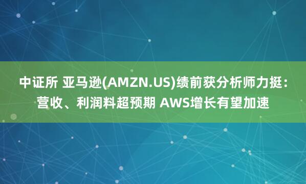 中证所 亚马逊(AMZN.US)绩前获分析师力挺：营收、利润料超预期 AWS增长有望加速