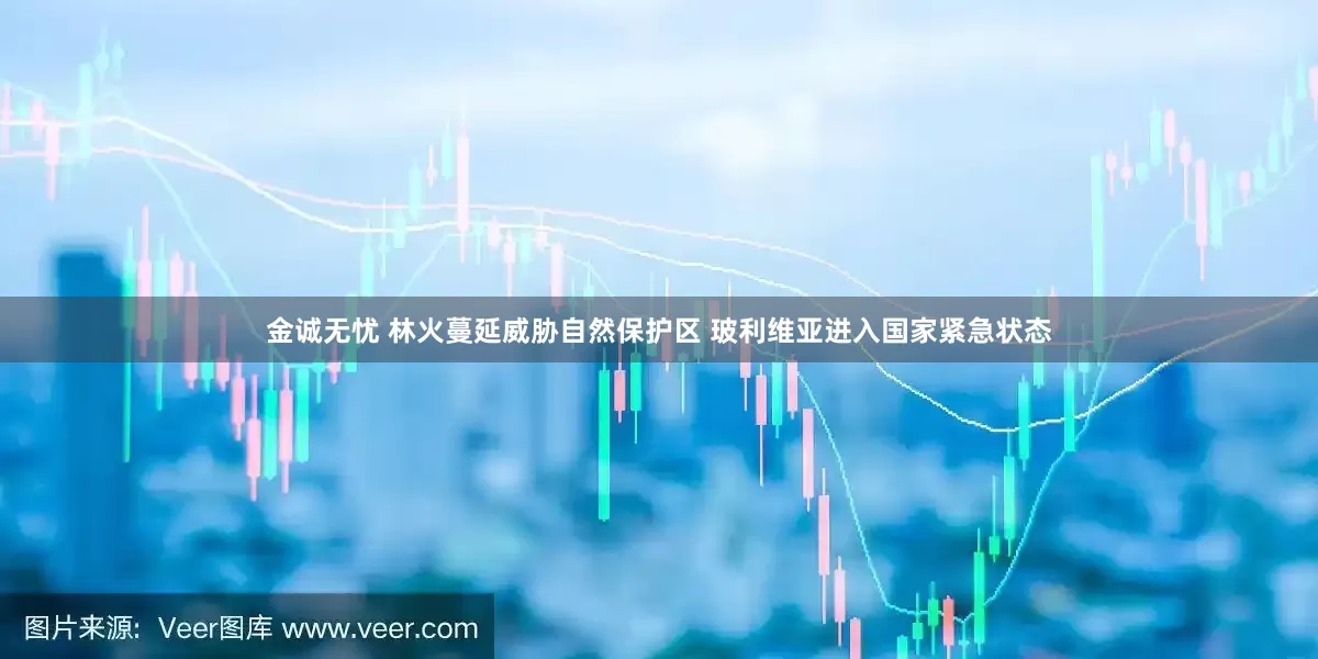 金诚无忧 林火蔓延威胁自然保护区 玻利维亚进入国家紧急状态
