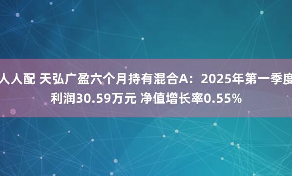 人人配 天弘广盈六个月持有混合A：2025年第一季度利润30.59万元 净值增长率0.55%