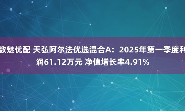 数魅优配 天弘阿尔法优选混合A：2025年第一季度利润61.12万元 净值增长率4.91%